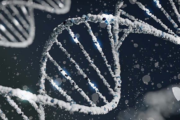 DNA, genetics, epigenetics – what does it really mean to you?