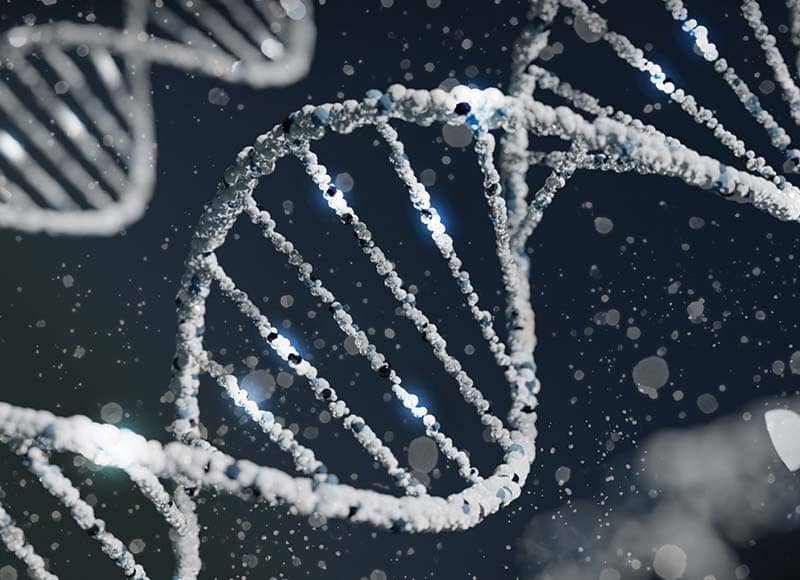 DNA, genetics, epigenetics – what does it really mean to you?